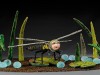 the-hines-emerald-dragonfly-project-adult-with-eggs-